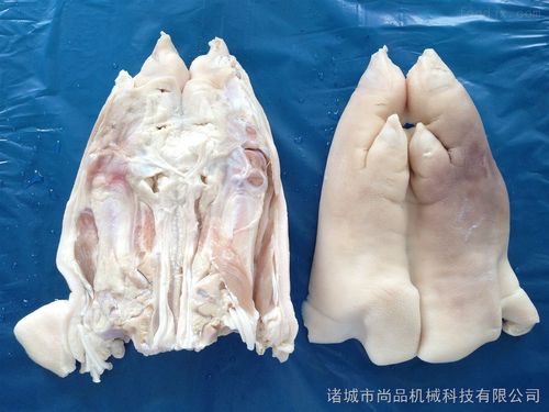 豬蹄劈半機價格與供應信息全解析——中國食品機械設備網助您把握商機